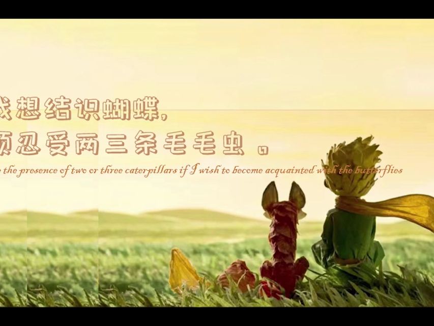 [图]little prince，小王子经典治愈语句