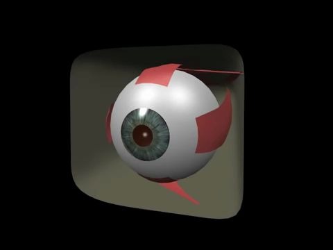 眼外肌-眼球运动-3d_哔哩哔哩_bilibili
