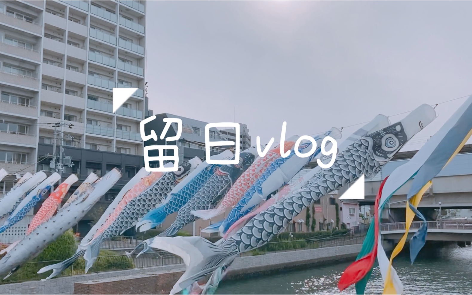 子供の日 到处都飘着鲤鱼旗