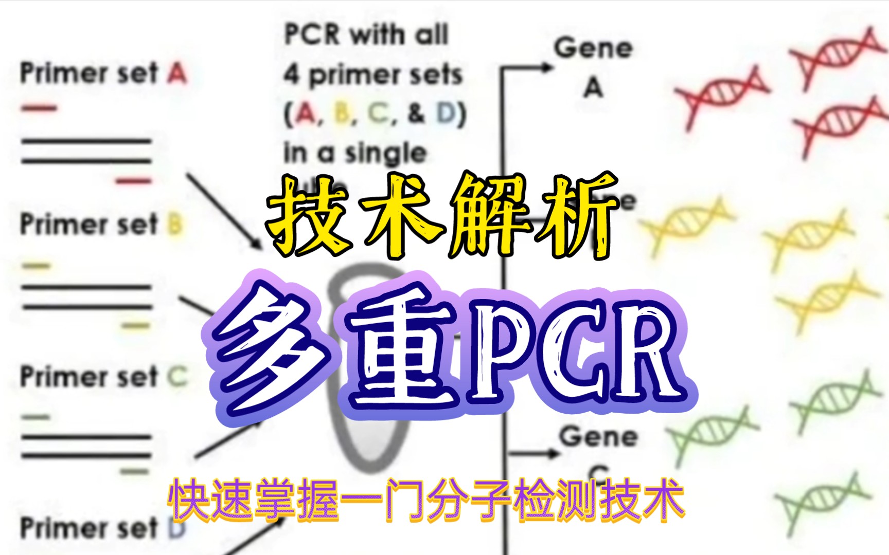 多重PCR技术解析哔哩哔哩bilibili