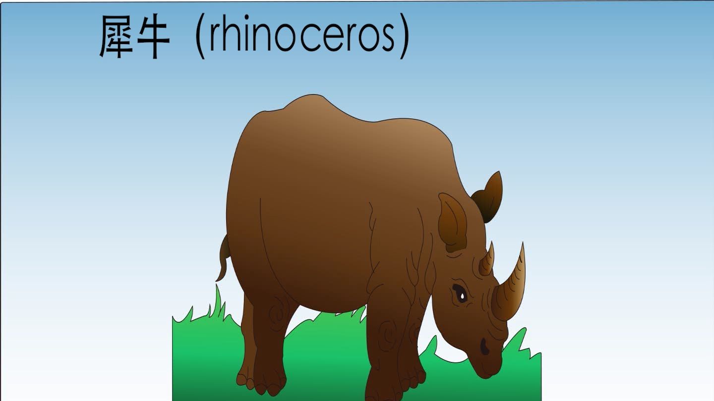 动物篇 — 犀牛