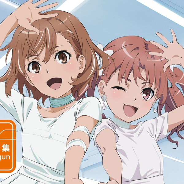 fripSide とある科学の超電磁砲 フォトブック ブロマイド 新品未開封 fripSide とある科学の超電磁砲 フォトブック ブロマイド 新品未