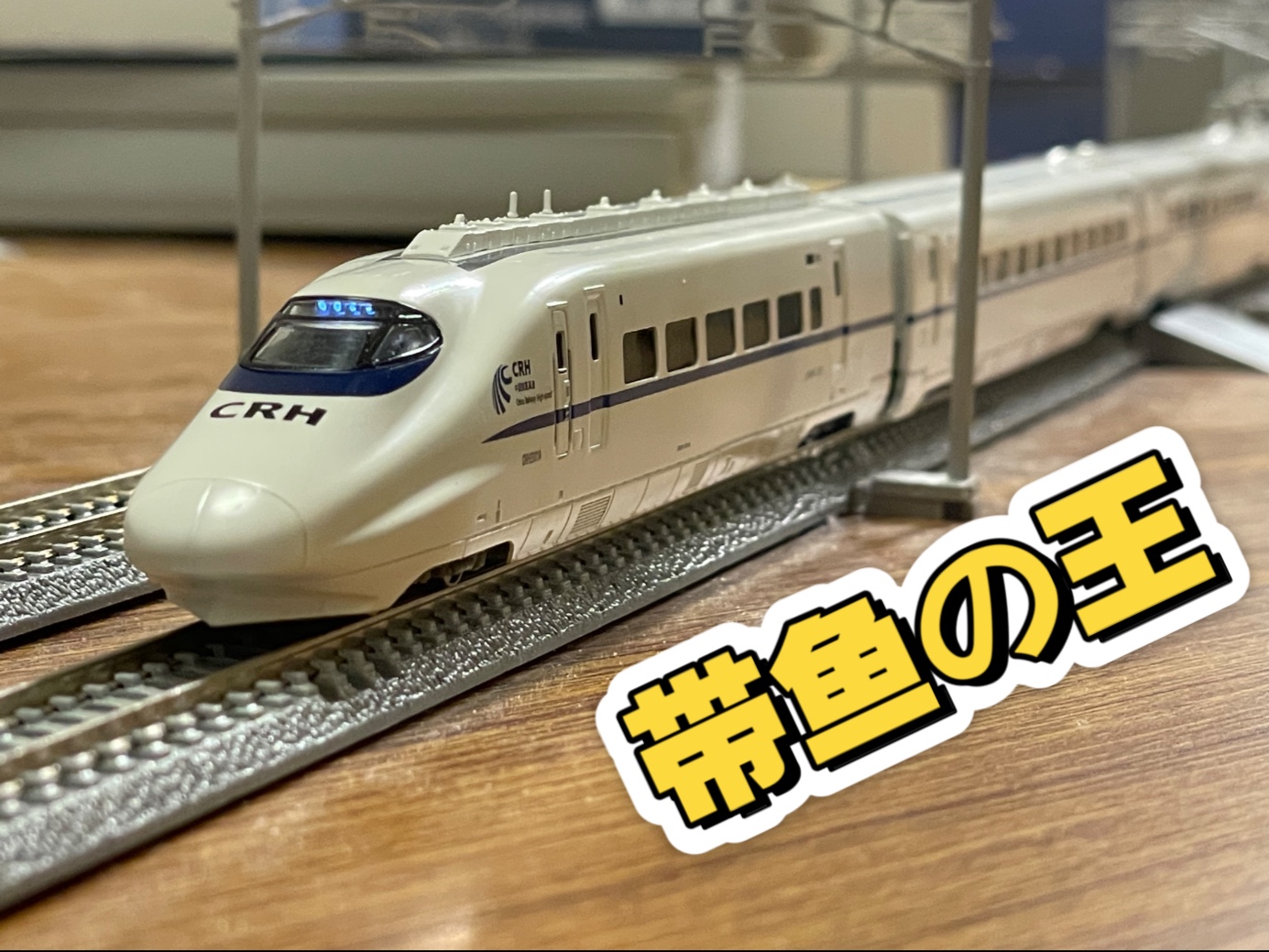 n比例火车模型开箱 带鱼之王!