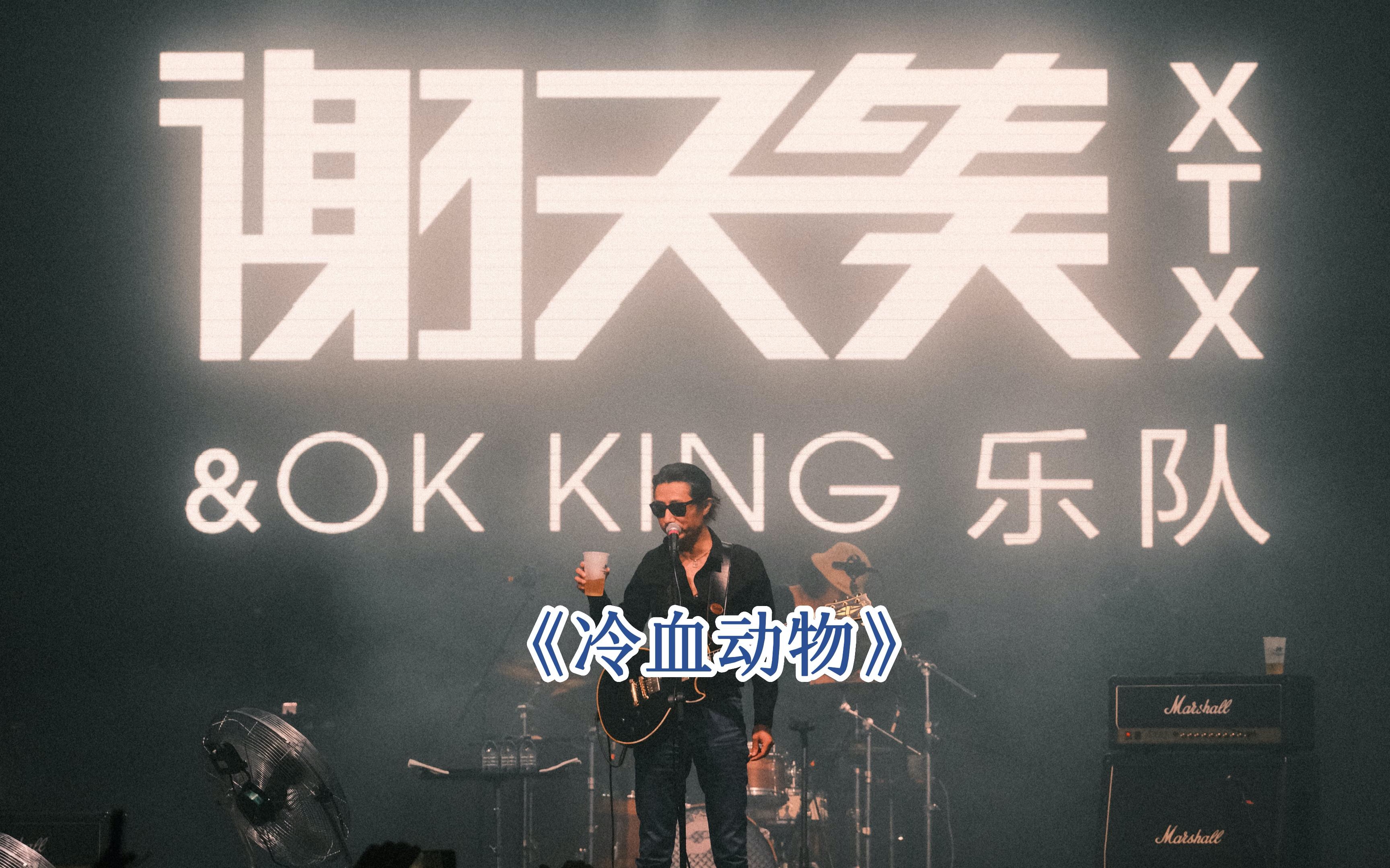 [图]《冷血动物》谢天笑&OK KING「2023 本能 LIVE巡演」上海 2023.08.20