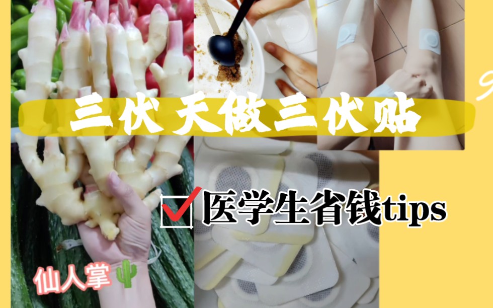 三伏贴教学视频DIY|三伏灸|三伏天|医学生自我福利哔哩哔哩bilibili