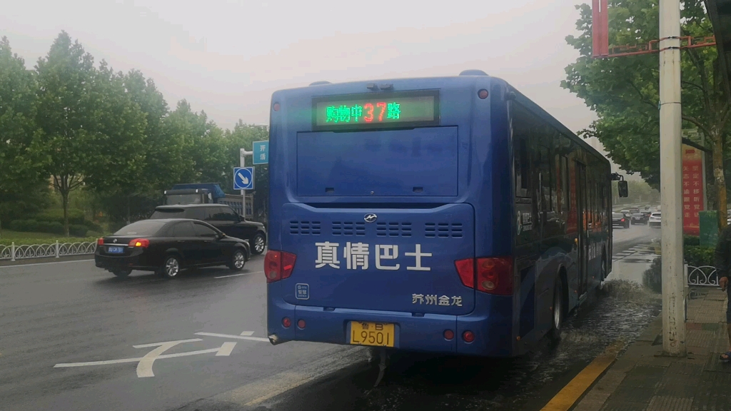 公交随拍真情巴士37路翻新海格l9501游艇会展中心出站