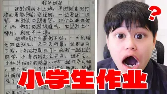 Descargar video: 【小学生作业】离谱！孩子你在写什么啊！？