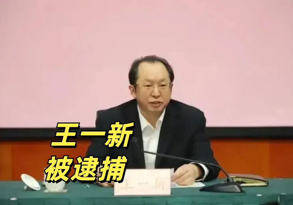 王一新,被逮捕哔哩哔哩bilibili