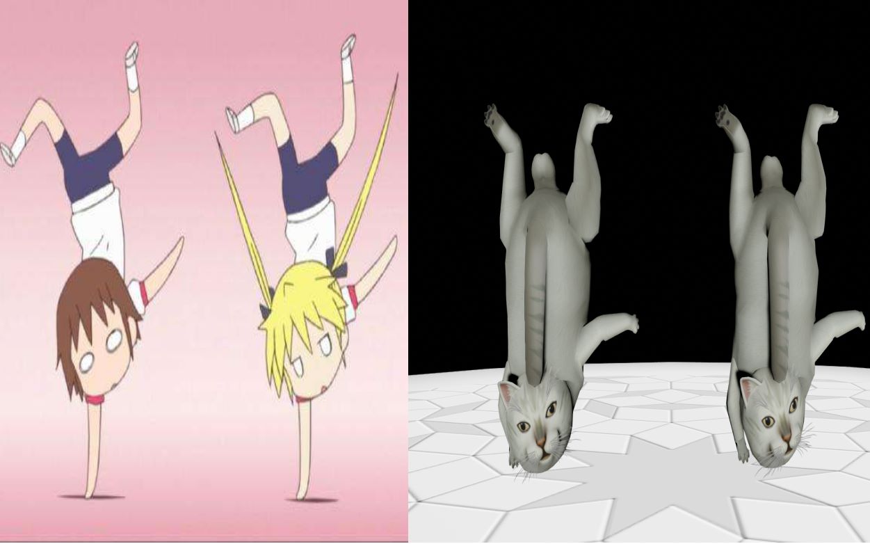 活动  奇怪的姿势增加了!