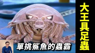 Download Video: 味道堪比龙虾、帝王蟹，却是单挑鲨鱼的狠角色，酷似外星生物的大王具足虫【老肉杂谈】