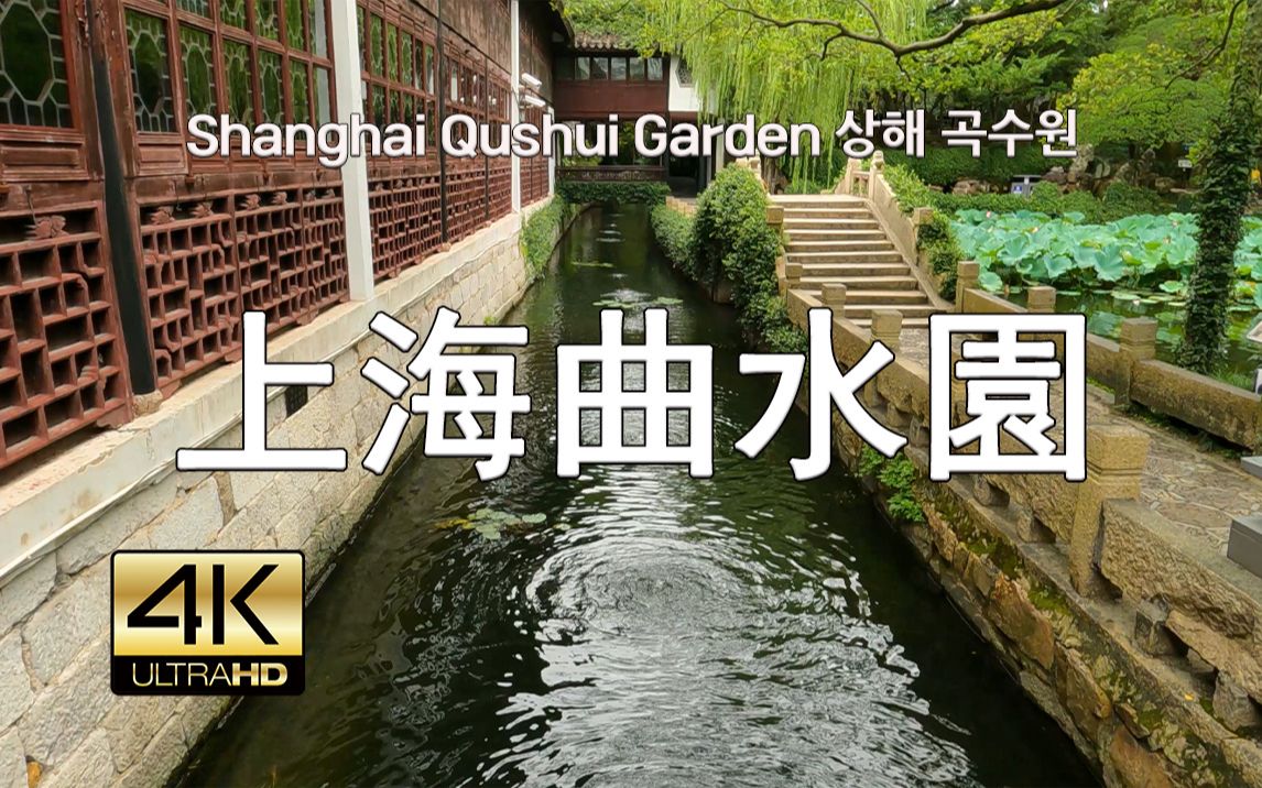 上海曲水园 Street Walk Shanghai Qushui Garden, 4K, 现场音哔哩哔哩bilibili