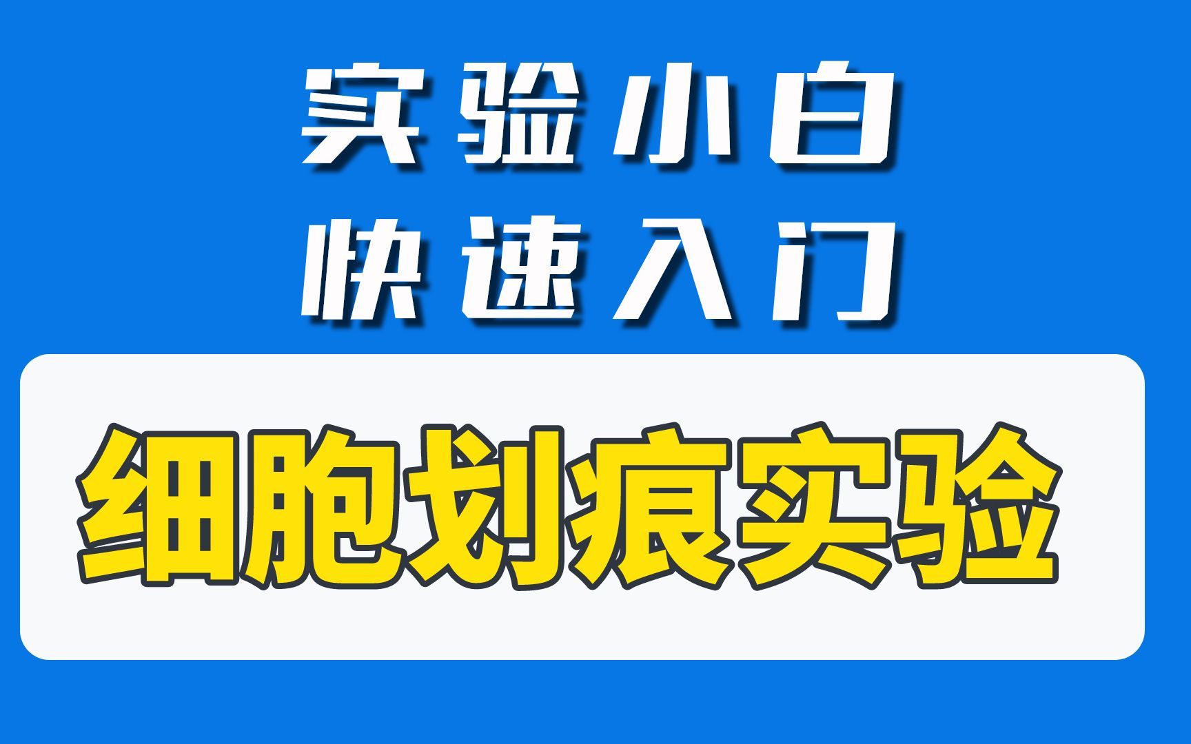 细胞划痕实验完整操作步骤,你会做吗?只需这几步就能轻松get!哔哩哔哩bilibili