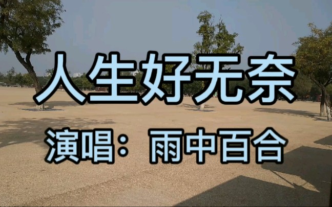 [图]雨中百合一首《人生好无奈》听得人心酸，人到中年生活不易！！