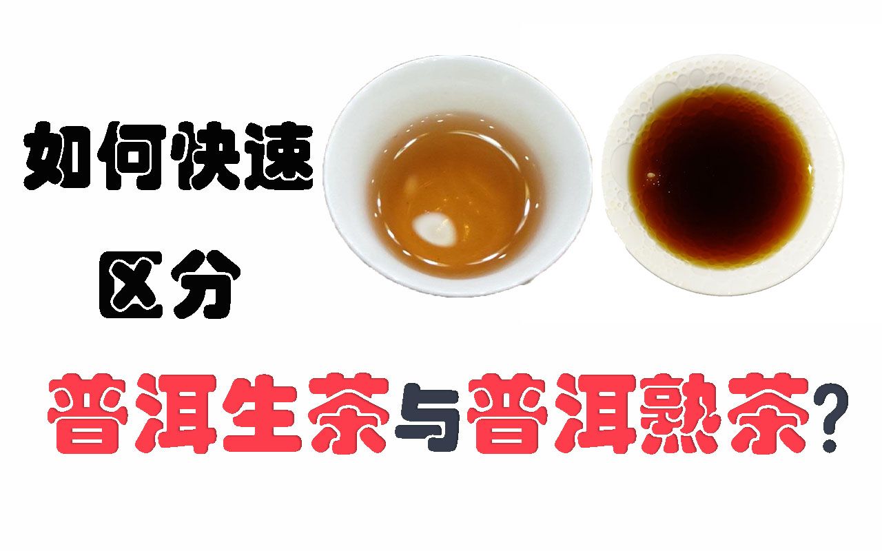 【茶知识】如何快速区分普洱生茶和普洱熟茶哔哩哔哩bilibili