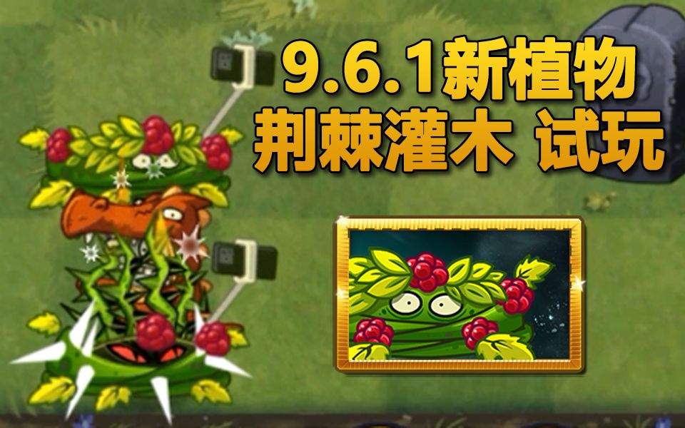 9.6.1新植物  荆棘灌木 试玩哔哩哔哩bilibiliPVZ