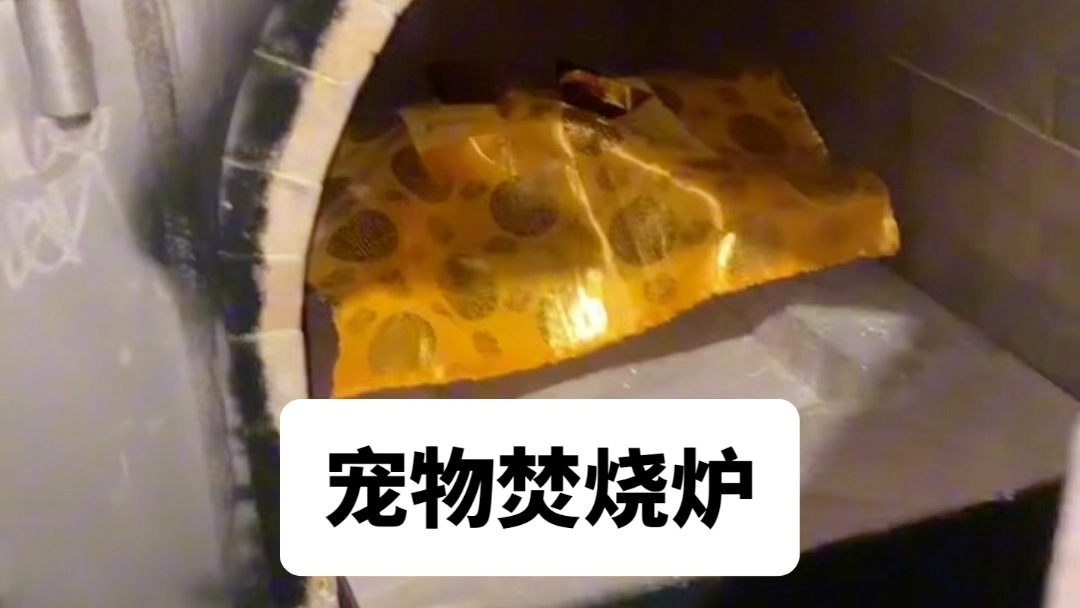 宠物殡葬焚烧炉动物火化炉无害化处理设备