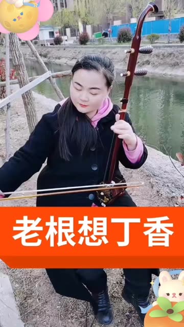 《老根想丁香》52弦,喜欢的朋友红心支持!