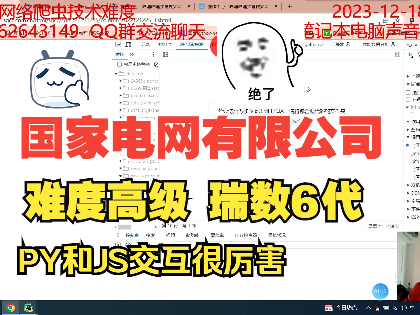 国家电网有限公司 难度高级 瑞数6代 教学一下 666 技术很厉害 py和js交互没问题 py被报400哔哩哔哩bilibili