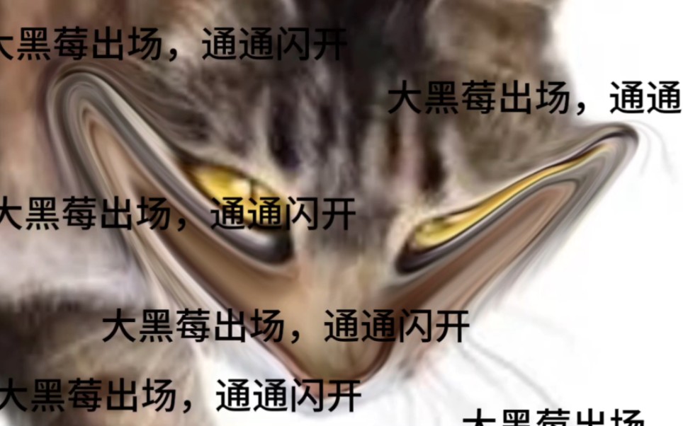 [图]猫武士二部曲一分钟极速版