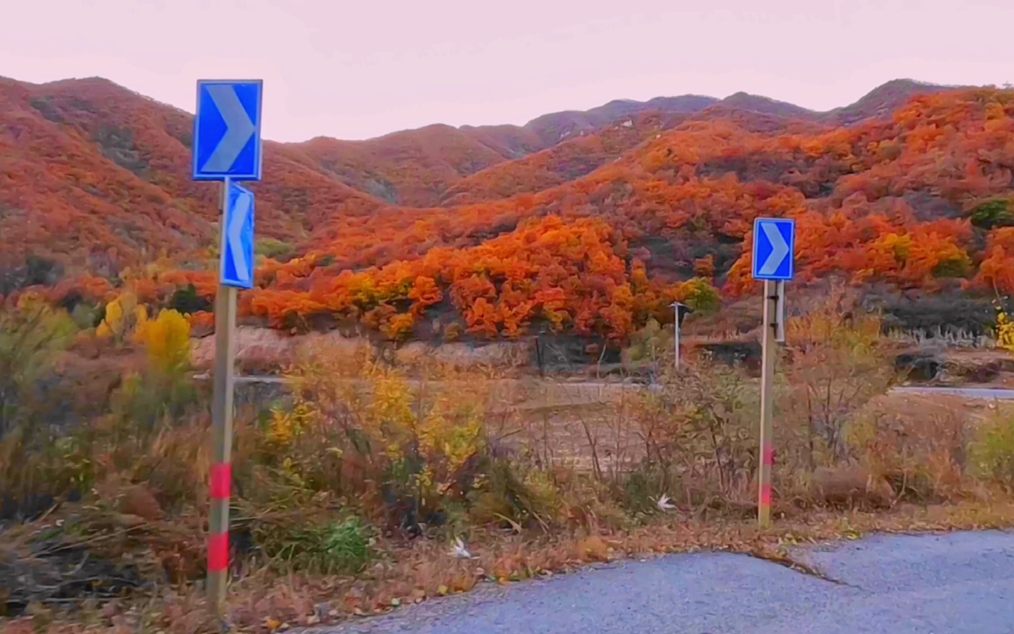 [图]人少景美！秋天北京最美林间小路，沿途看遍漫山红叶，美不胜收