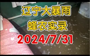 下载视频: 辽宁葫芦岛市暴雨，中气爱还在发力？蜂场要被淹了！！！