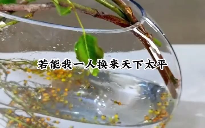 知乎小说推荐《万物之女》我为拯救苍生以身殉劫,重生后却有人顶替了我的位置. 最疼爱的三个徒弟,为了所谓的天道之女,要将我穿心流放.哔哩哔哩...