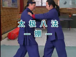 田理阳道长武当太极八法推手教学—掤