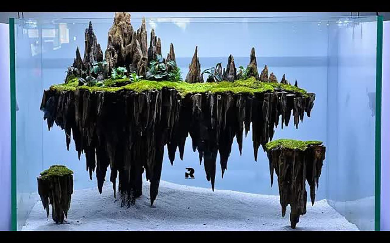 【水族造景——diy沙瀑水族箱,飞岛阿凡达新趋势】【interesting