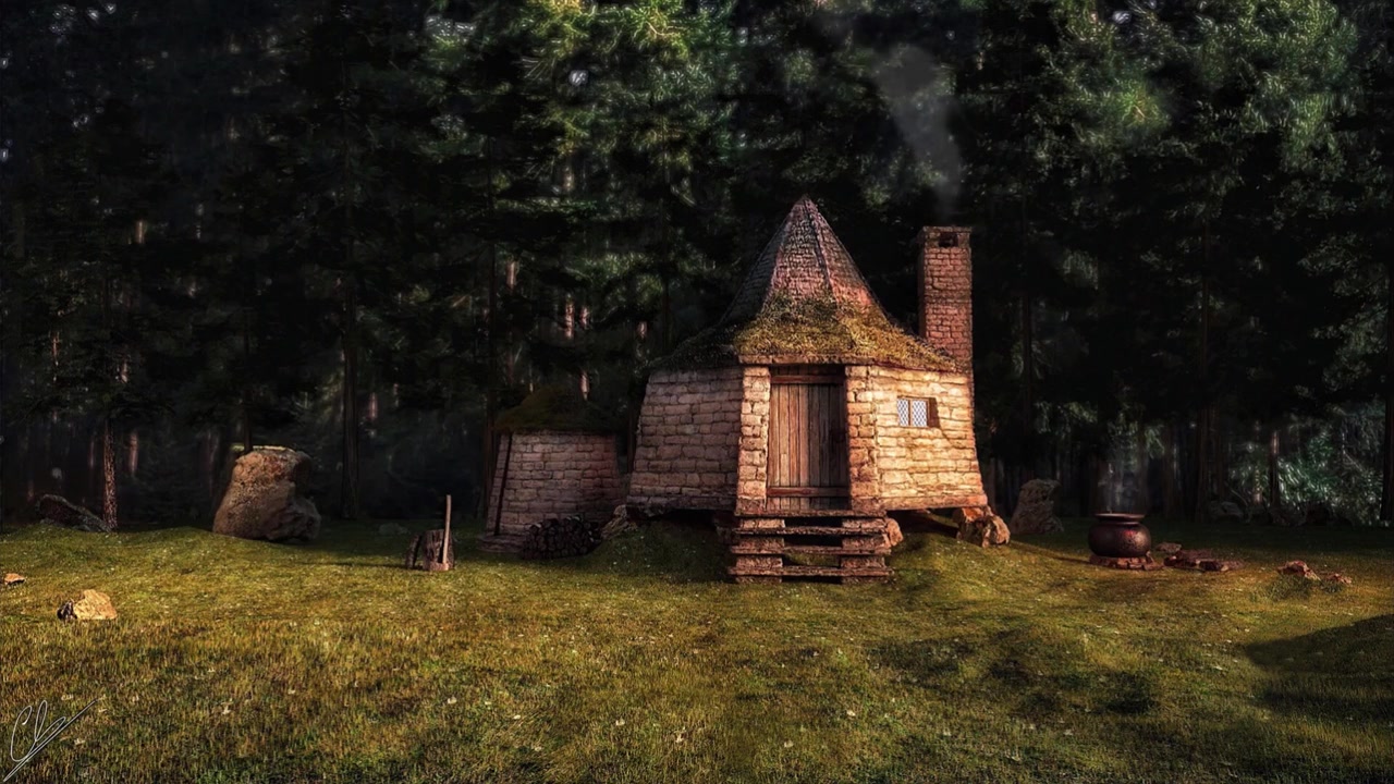 【白噪音】【学习向】【放松】海格的小屋 (鸟叫声,烧木头声, 风声)