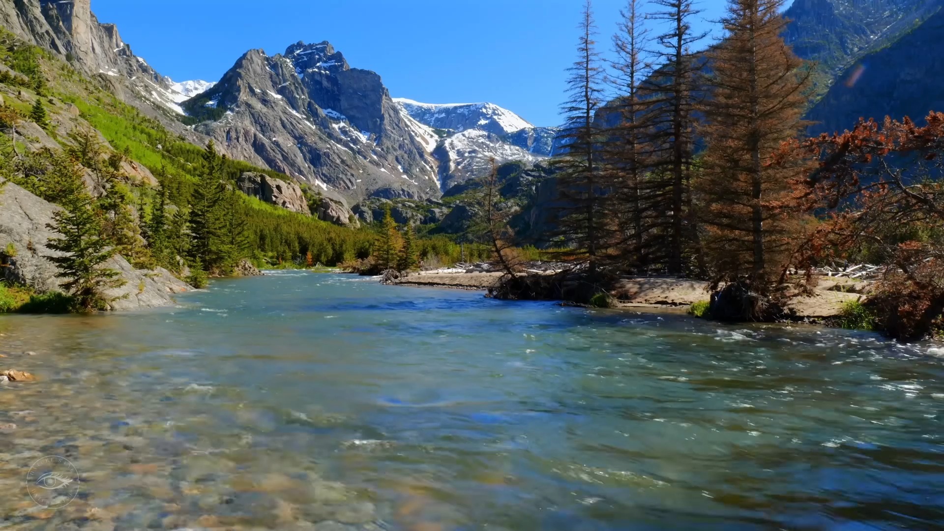 gentle mountain river in montana backcountry water sounds white