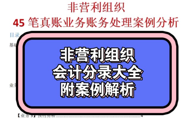 非营利组织会计分录账务处理附案例解析哔哩哔哩bilibili