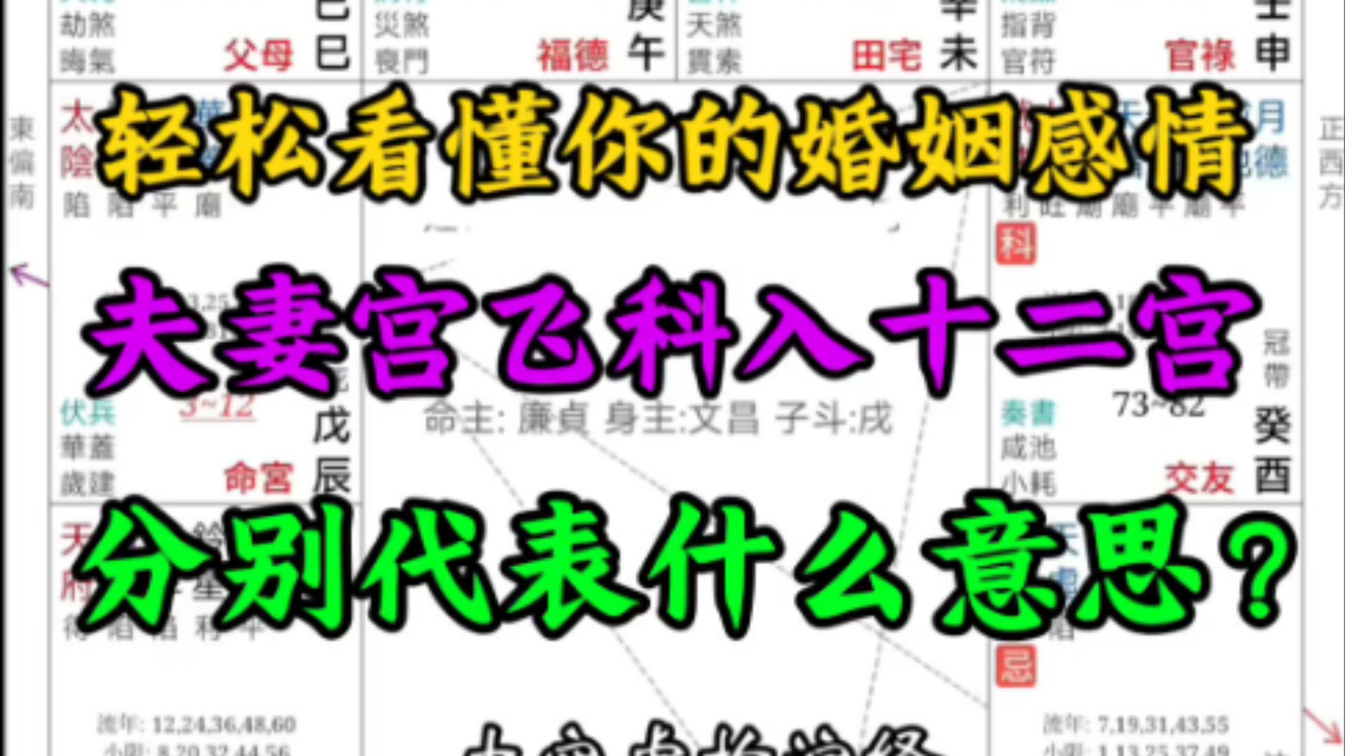 轻松看懂你的婚姻感情,夫妻宫飞科入十二宫,分别代表什么意思?哔哩哔哩bilibili