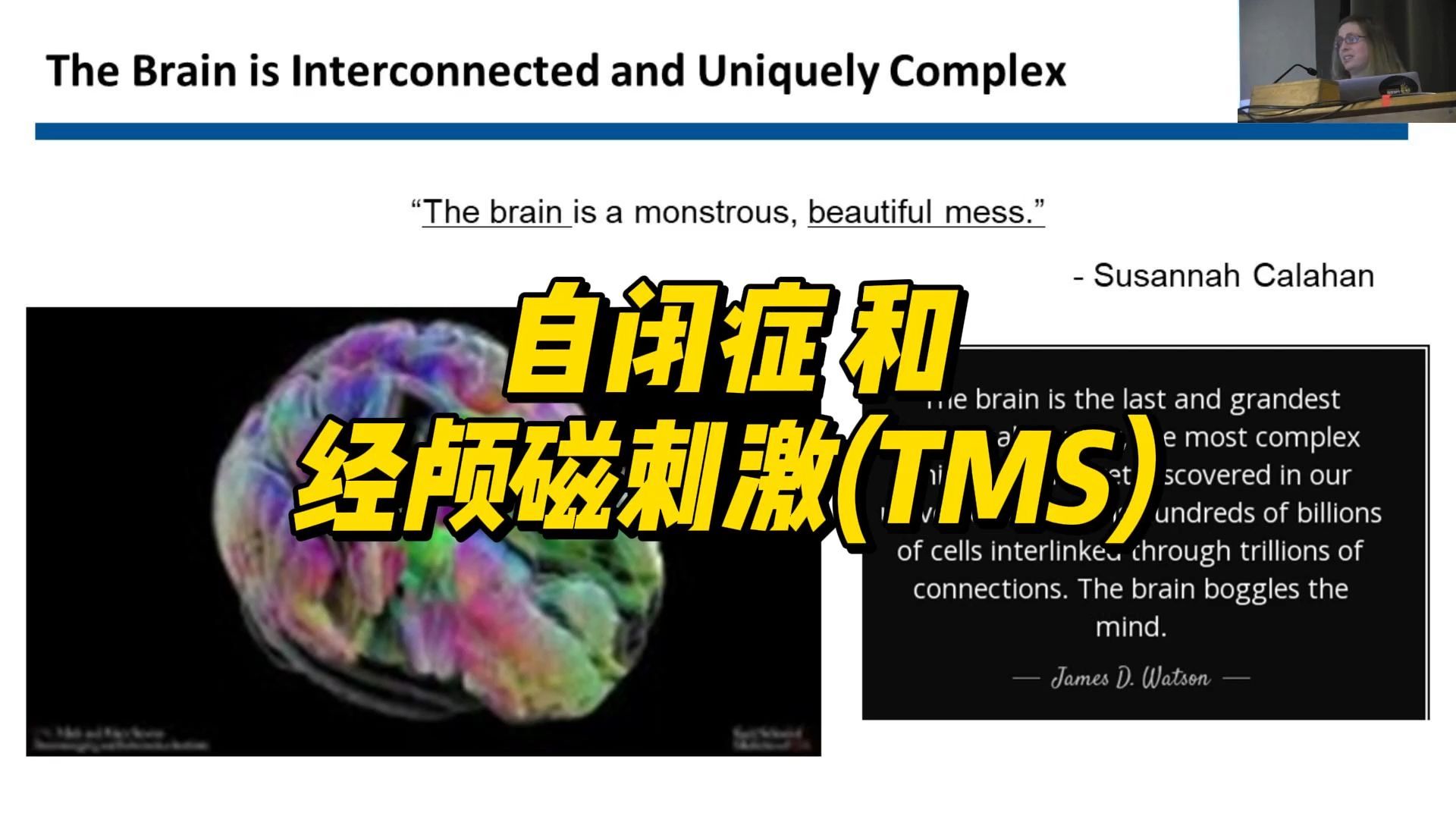 自闭症和经颅磁刺激(TMS),Lindsey Oberman 博士哔哩哔哩bilibili