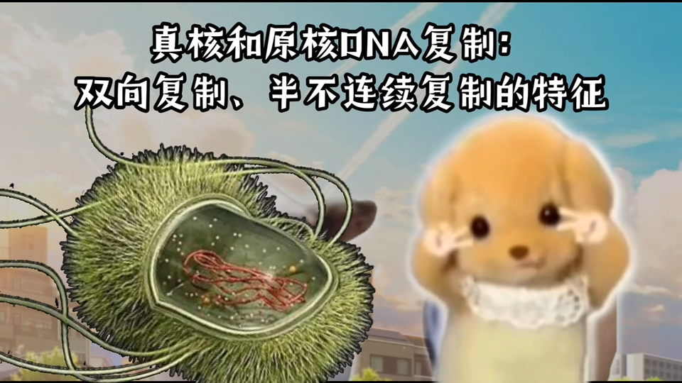 【生化猫meme】Anyway 真核生物多复制子单顺反子哔哩哔哩bilibili