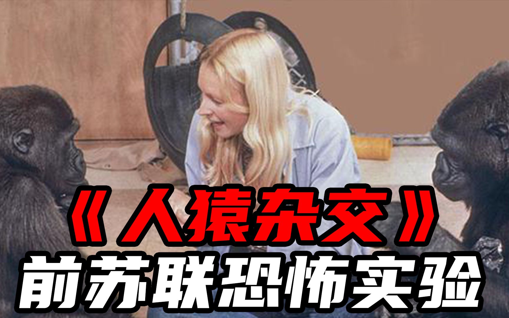 可怕的苏联“人猿杂交”,企图让女性怀上猩猩的种!哔哩哔哩bilibili