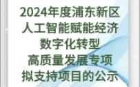 【浦东新区】:关于2024年度浦东新区人工智能赋能经济数字化转型高质量发展专项拟支持项目的公示哔哩哔哩bilibili