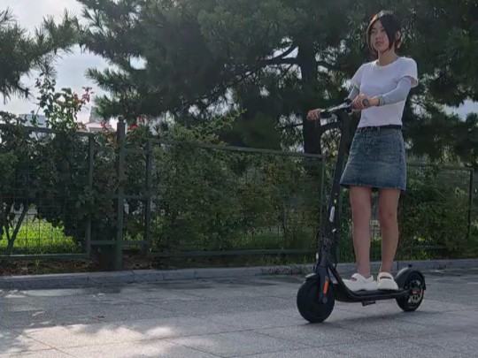 九号(ninebot)电动滑板车f25 电动车小型男女成人可折叠9号电动车减震