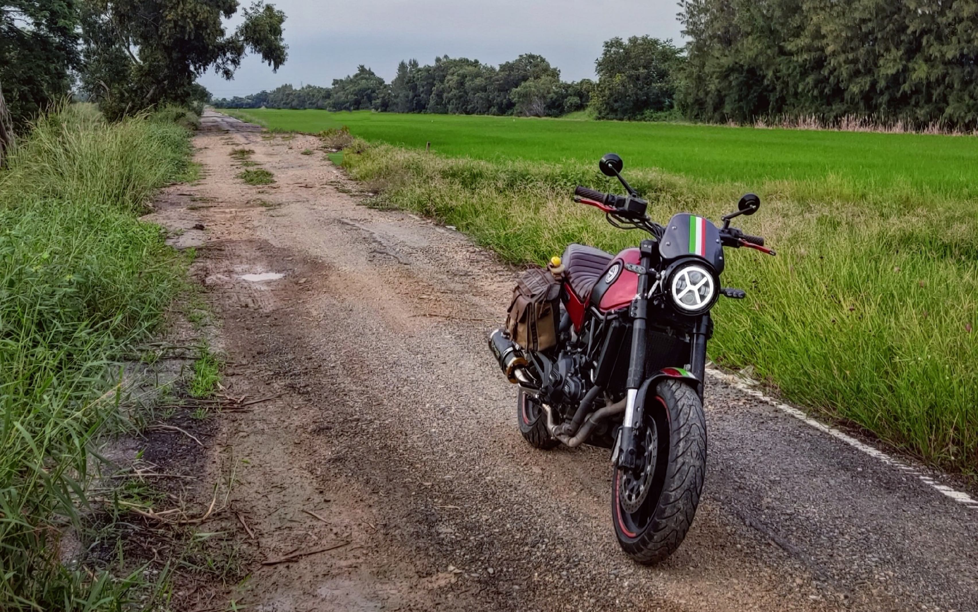 带幼狮500去泰国田间撒野sclamber的真正乐趣
