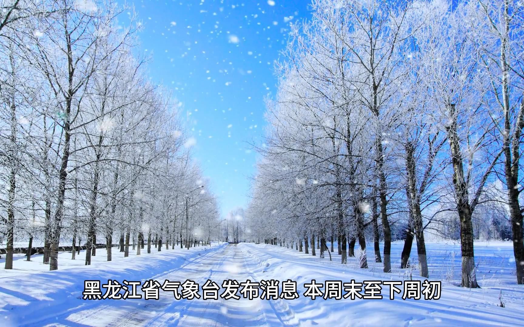 黑龙江省将16日出现降暴雪天气