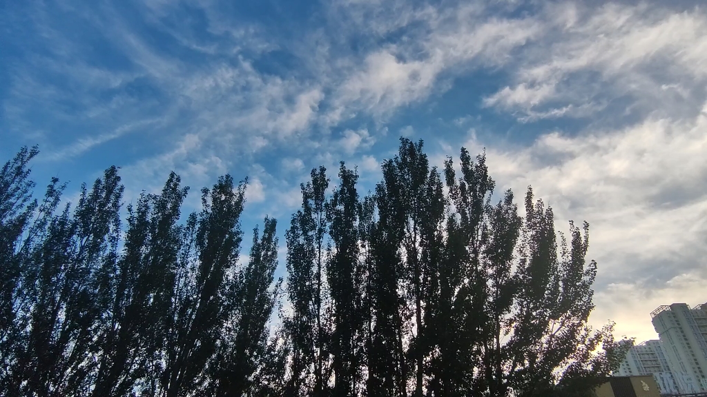 特别喜欢这种晴空万里又大风呼呼凉爽极了的天气