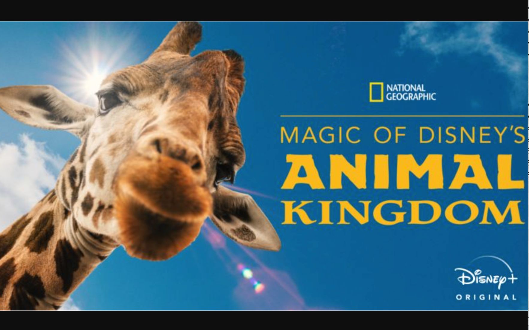 [图][Disney+] 迪士尼动物王国 全8集 Magic of Disneys Animal Kingdom