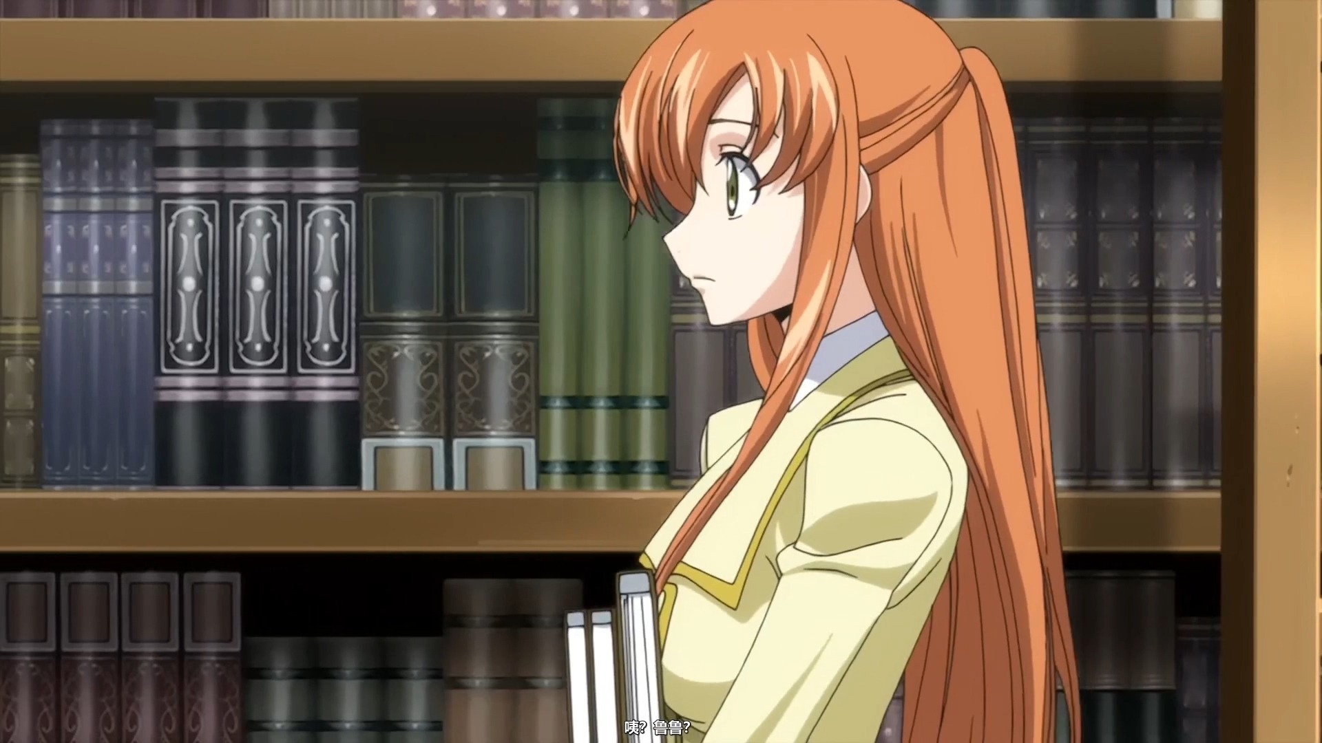 反叛的鲁路修r2e11