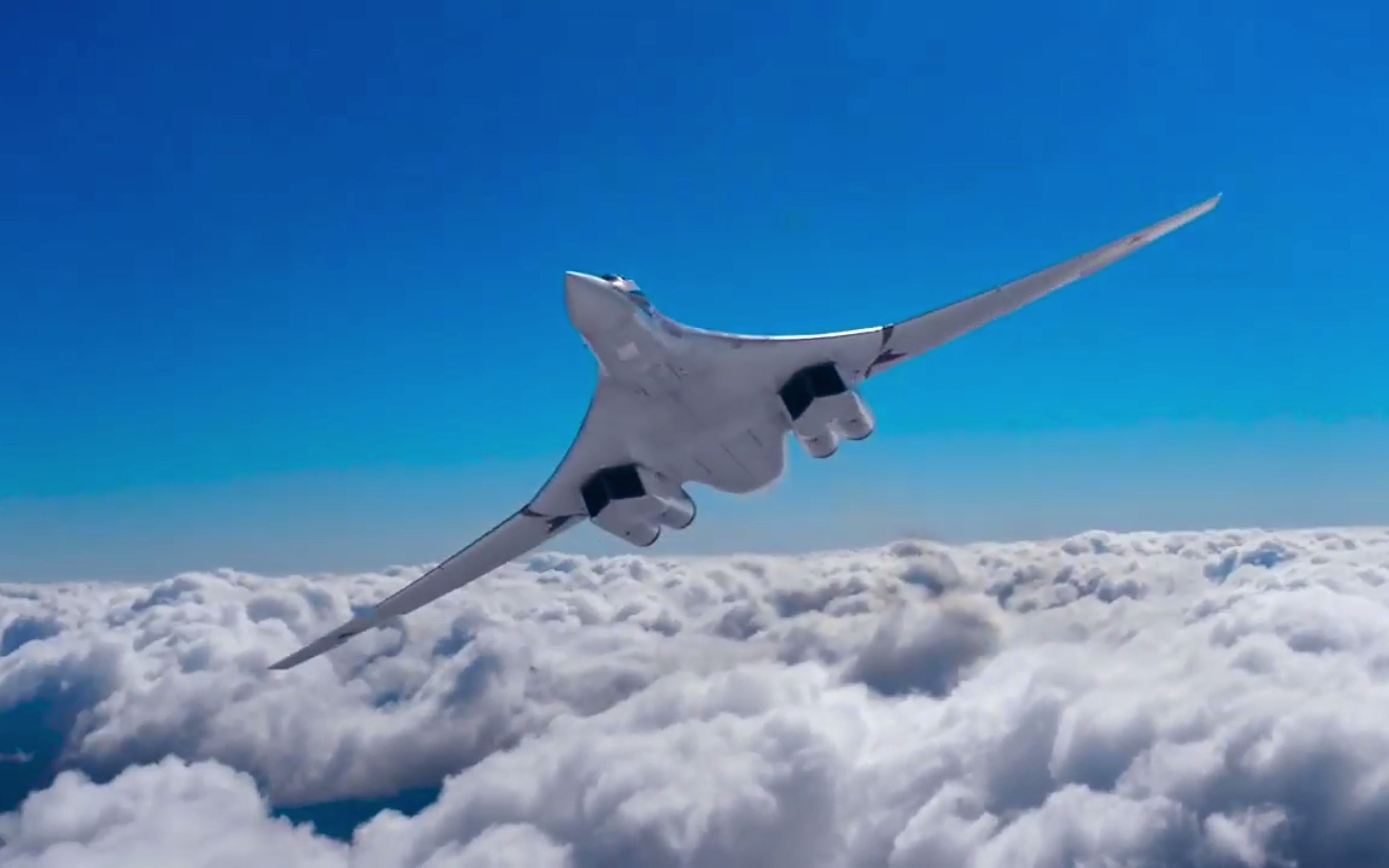 【图160】白天鹅每次挥动双翼都是如此唯美_哔哩哔哩_bilibili