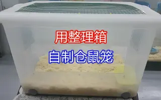 Diy整理箱 搜索结果 哔哩哔哩 Bilibili