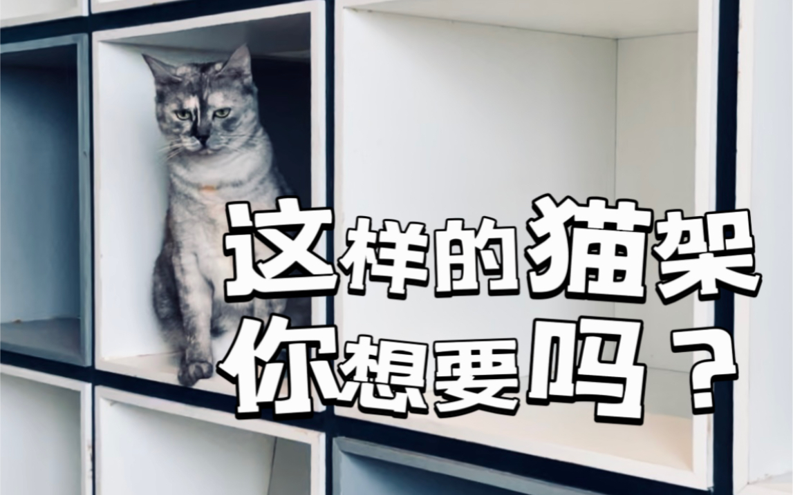 怪叔叔自己设计的猫架 你想要吗?哔哩哔哩bilibili