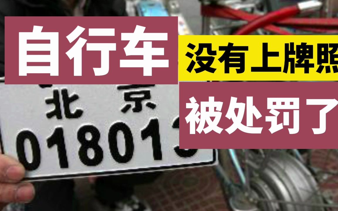 自行车没有上牌照,被处罚了?哔哩哔哩bilibili