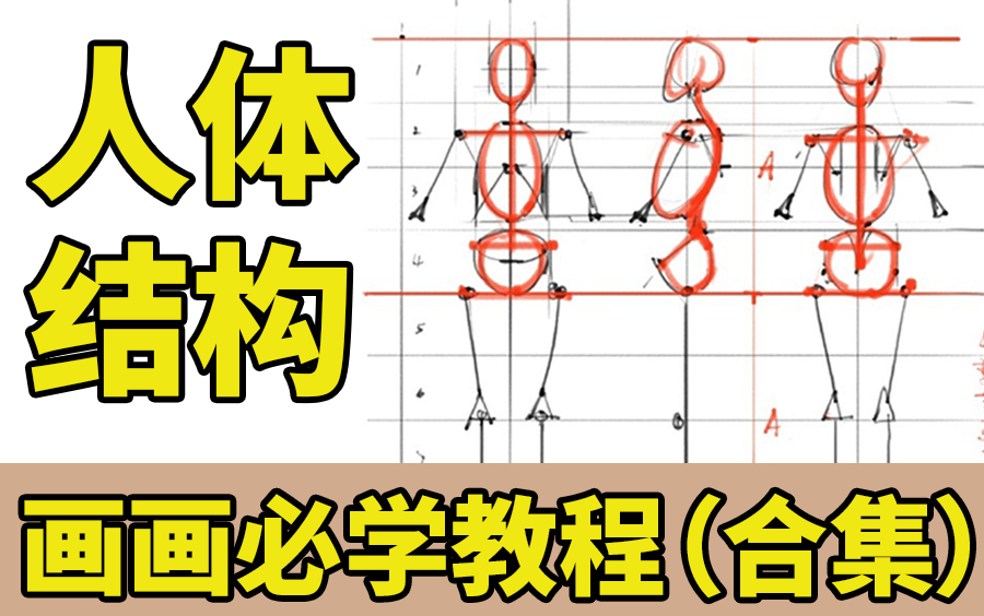 【人体结构合集】了解人物绘画的基础知识,让你高效理解躯干结构的画法!板绘人体结构解析,(人体+比例+手部结构+脚部结构+锁骨+造型)哔哩哔哩...