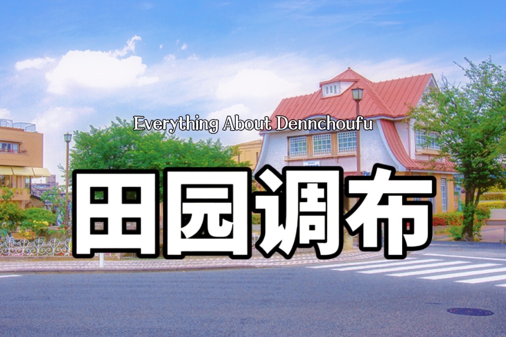 大田区田园调布|关于居住在田园调布的生活体验|优势与劣势|日本富人区|日本别墅|水果篮子|日本生活|日本租房|日本房产哔哩哔哩bilibili