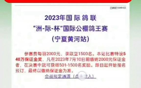 2023年 国际鸽联“洲际杯“国际公棚鸽王赛(宁夏黄河站)会员预定教程哔哩哔哩bilibili