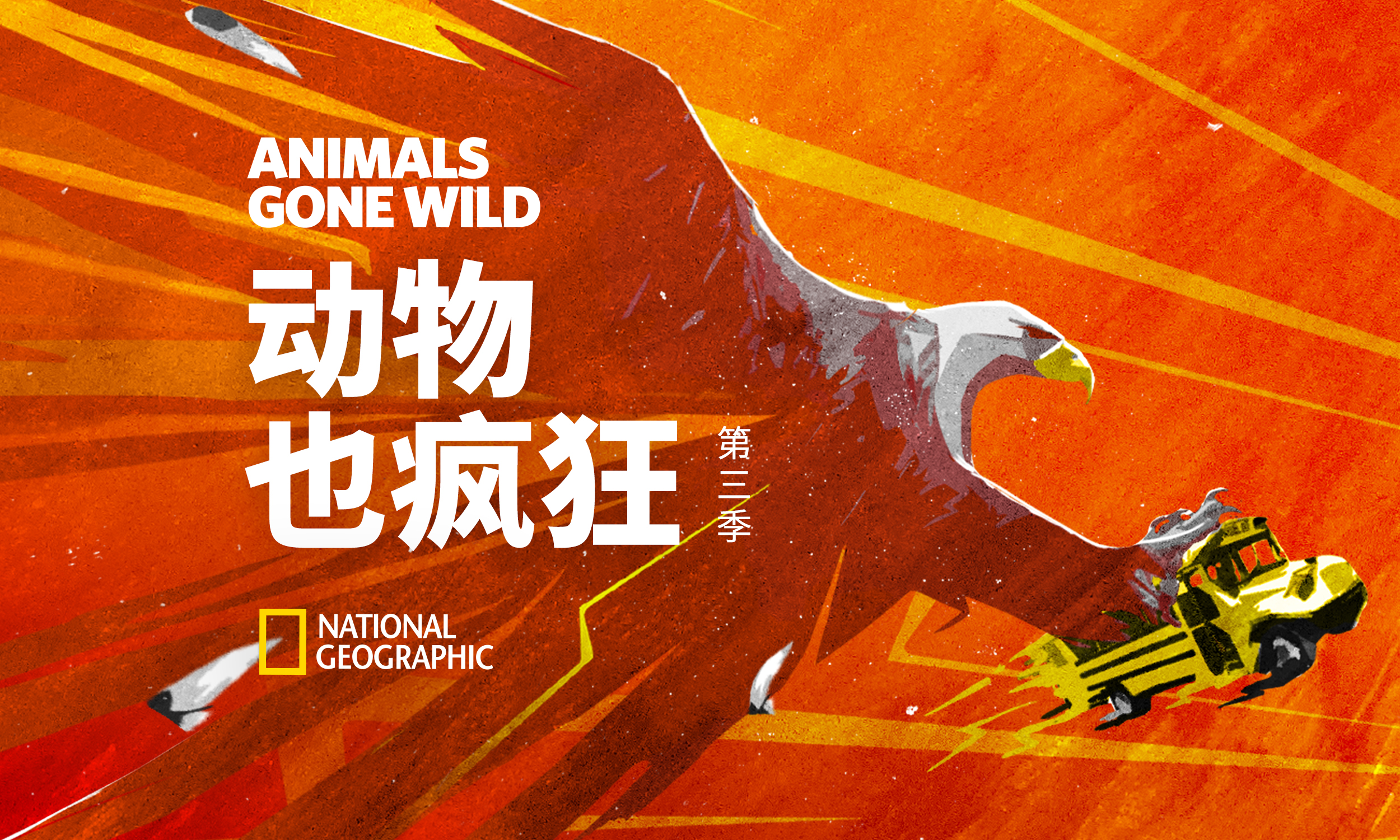 动物也疯狂第三季第1集